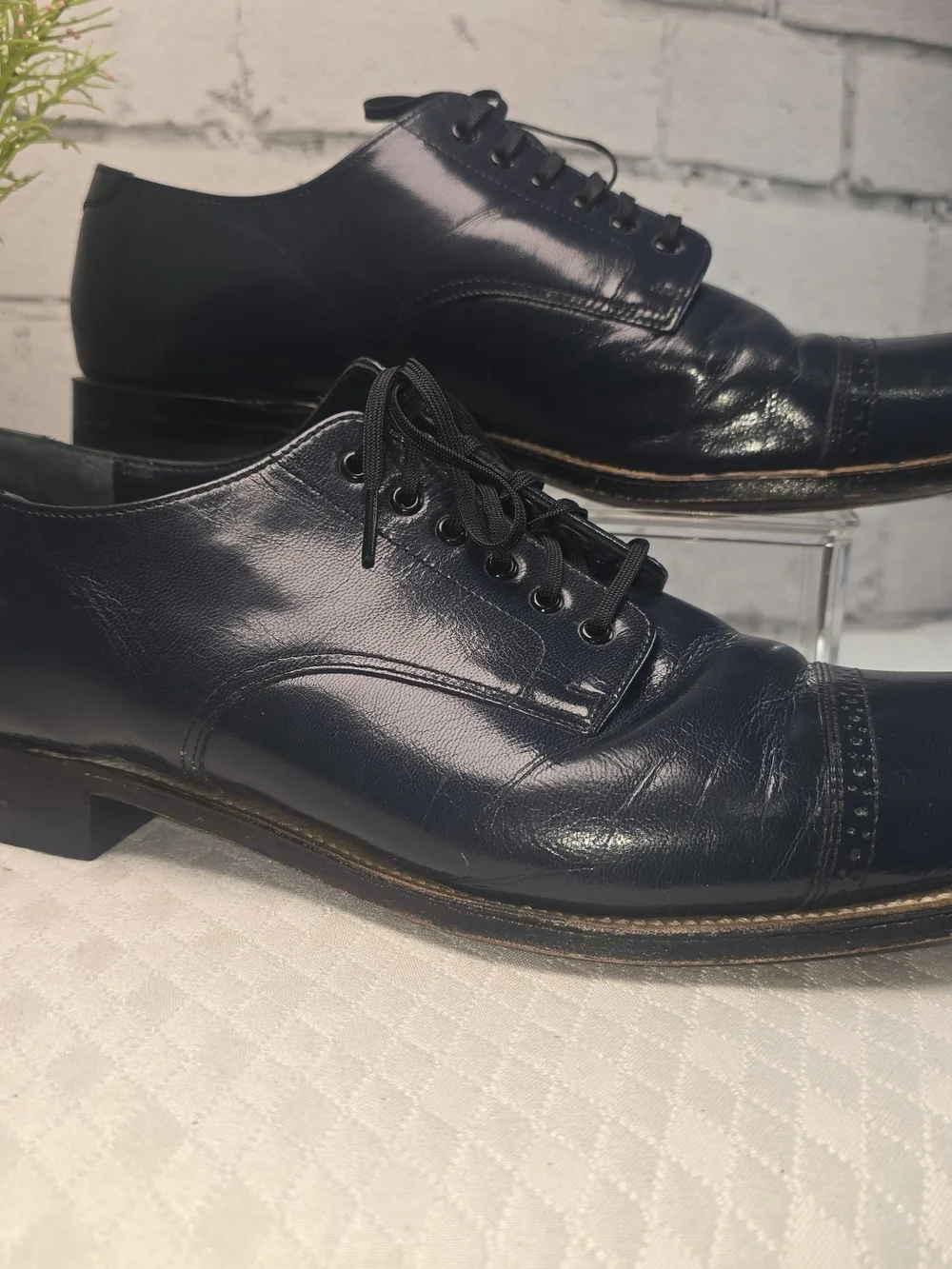 Stacy Adams polished leather